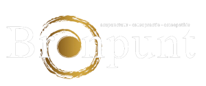 Bronpunt